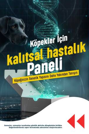Köpekler İçin Kalıtsal Hastalık ve Özellik Test Paneli - 