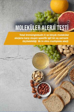 Moleküler Alerji Testi - Beslenme Analizi